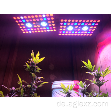 Bestes LED Grow Light 1200w für Zimmerpflanzen